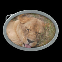Barbary Lion-nap-017 belt buckles