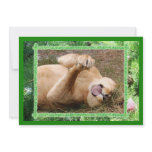 Barbary Lion-Nap-c-19 copy Invitation