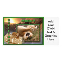 Barbary Lion-Nap-c-67 copy Custom Photo Card