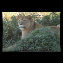 Barbary Lion-set-1-003 placemats