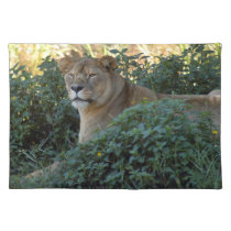 Barbary Lion-set-1-003 placemats