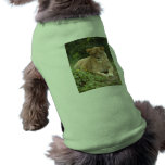 Barbary Lion-set-1-006 Pet Tee
