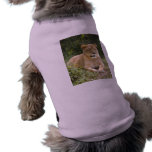 Barbary Lion-set-1-007 Dog T-shirt