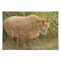 Barbary Lion-set-1-016 placemats