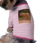 Barbary Lion-set-1-017 Doggie Tee Shirt