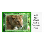 Barbary Lion-Set 1-c-19 copy Photo Cards