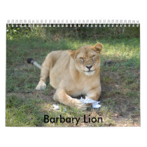 Barbary Lion-toy-010, Barbary Lion calendars by NatureByDesign Barbary Lion-toy-010, Barbary Lion calendars