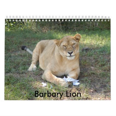 Barbary Lion-toy-010, Barbary Lion Calendars by NatureByDesign