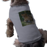 Barbary Lion-toy-018 Pet Shirt
