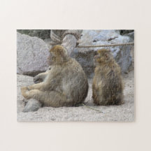 Barbary macaque jigsaw puzzles