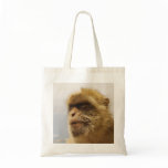 Barbary Macaques in Gibraltar Monkey Face Canvas Bags