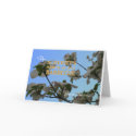 Barbecues cards