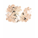Barbed flowers / Falling t-shirts by GekkaYoru Barbed flowers / Falling t-shirts