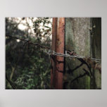 Barbed Poster