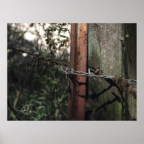 Barbed Poster