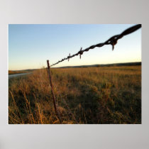 Barbed Print
