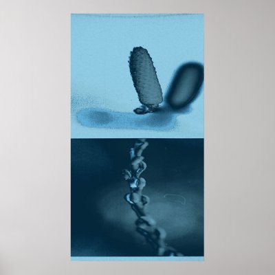 barbed wire and flower poster by brangwen