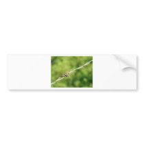 Barbed Wire, Barbed, Wire, Fencing Bumper Sticker