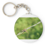 Barbed Wire, Barbed, Wire, Fencing Key Chains