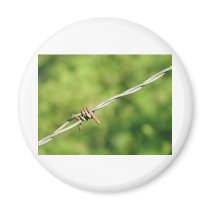 Barbed Wire, Barbed, Wire, Fencing Magnet
