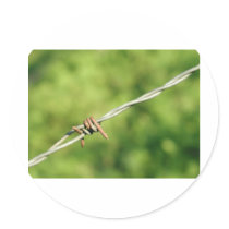 Barbed Wire, Barbed, Wire, Fencing Sticker