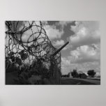 Barbed Wire Clouds posters