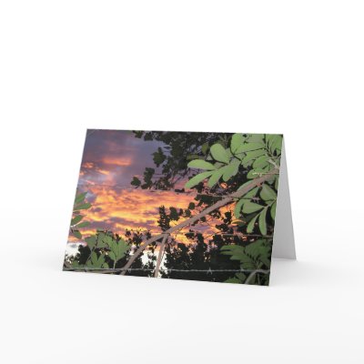 Barbed Wire El Salvadoran Sunset Cards by Godmotherarts