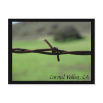 Barbed Wire Fence Carmel Valley, CA Postcard