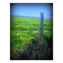 Barbed Wire Fence