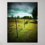 Barbed Wire Fence posters