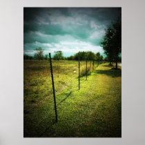 Barbed Wire Fence Poster