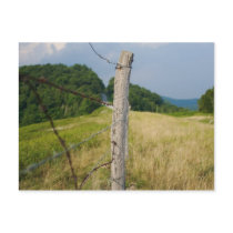 Barbed Wire Fencepost Postcards