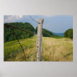 Barbed Wire Fencepost Print
