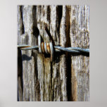 Barbed Wire On Fence posters