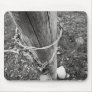 Barbed Wire Post BW Photo Art Mouse Pads