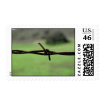 Barbed Wire Postage