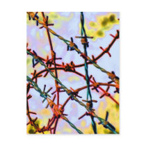 barbed wire post card