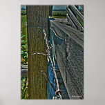 Barbed Wire posters