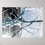 Barbed Wire posters