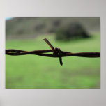 Barbed Wire Poster posters