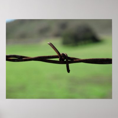 Barbed Wire Poster by ashale8