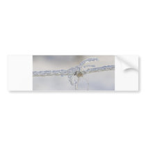 Barbed wire very iced with a little piece of fur bumper stickers