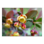 Barberry Flowers Card
