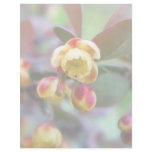 Barberry Flowers Personalized Letterhead