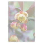 Barberry Flowers Custom Stationery