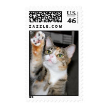 Barbi Cat Stamps