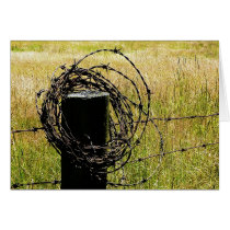 Barbwire Country Cards