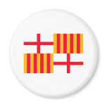 Barcelona Flag Magnets