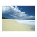 Bare Beach View posters