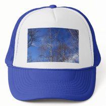 Bare Birch Hats